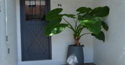 MUY BUEN DUPLEX DE 3 DORM A UNA CUADRA DE AV. CENTENARIO