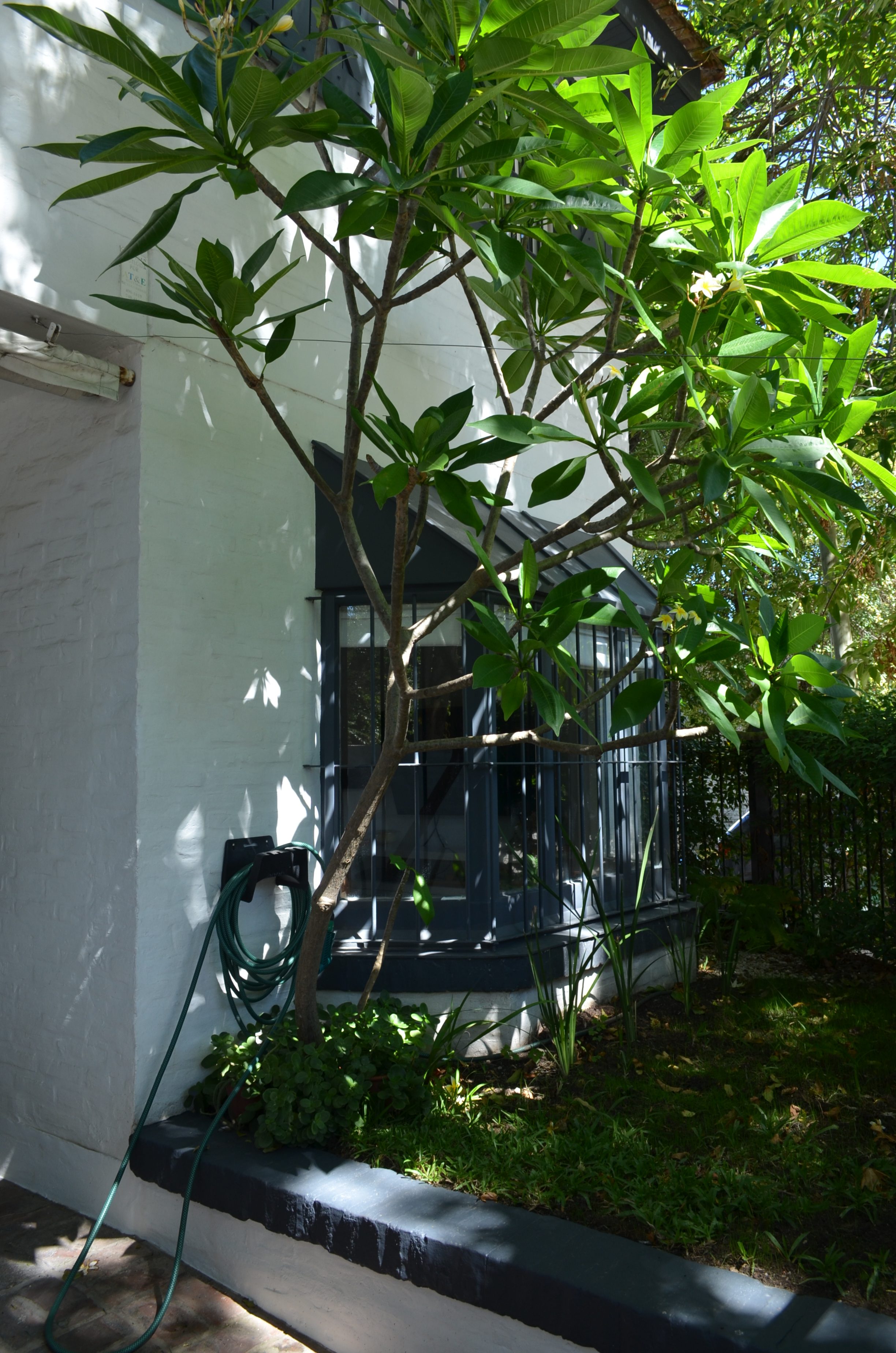 MUY BUEN DUPLEX DE 3 DORM A UNA CUADRA DE AV. CENTENARIO